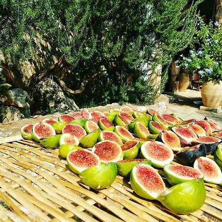 Masseria Borgo Del Gallo Tricase Eksteriør bilde