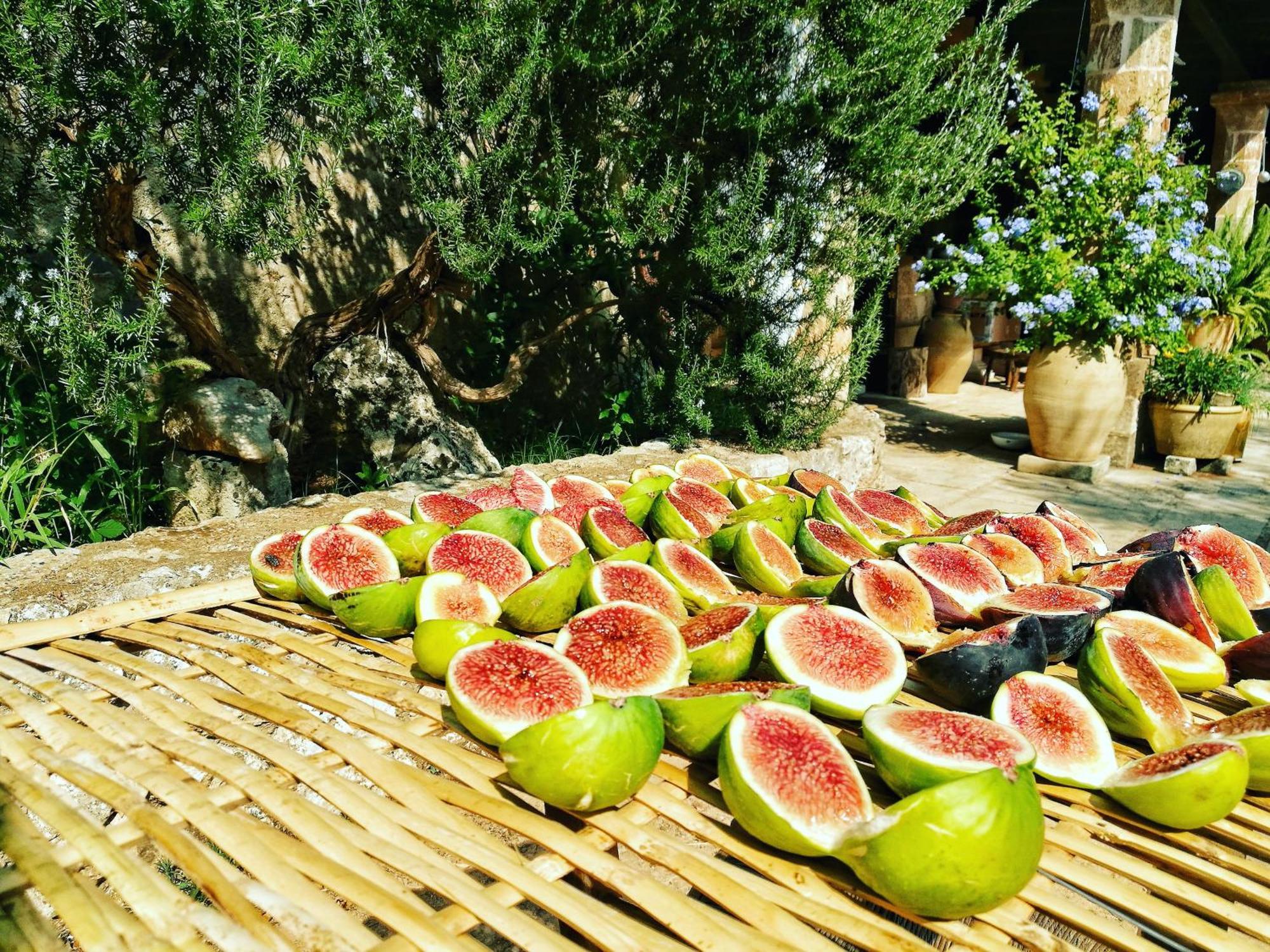 Masseria Borgo Del Gallo Tricase Eksteriør bilde